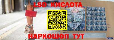 твердый Новозыбков