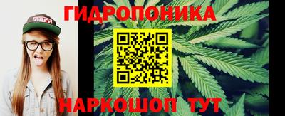твердый Новозыбков