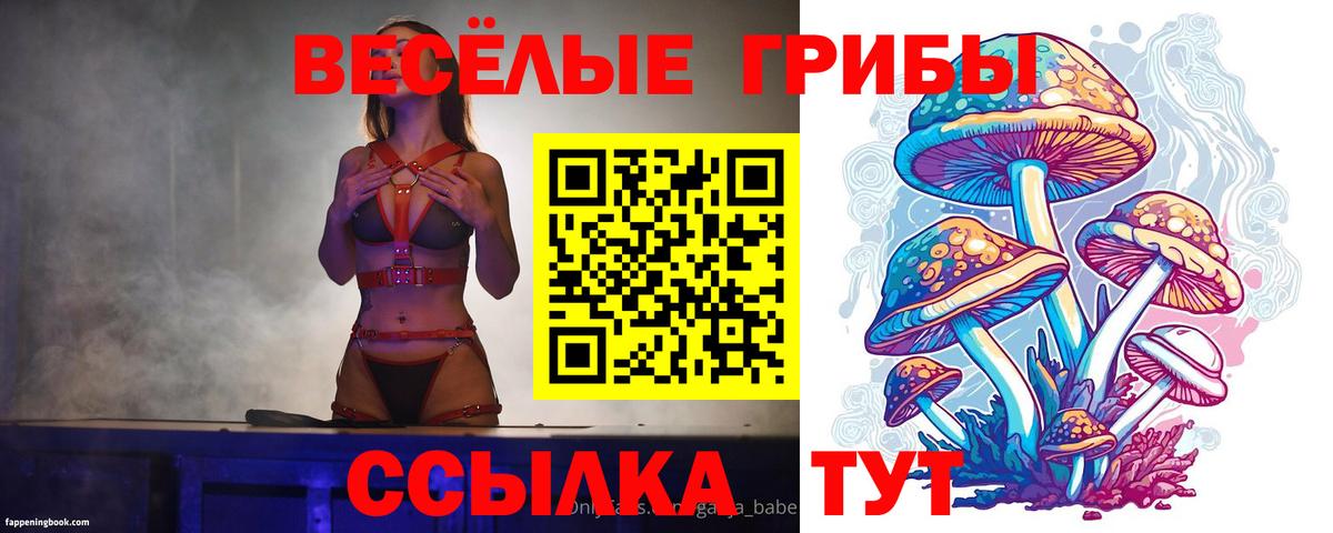 Галлюциногенные грибы мухоморы Чапаевск