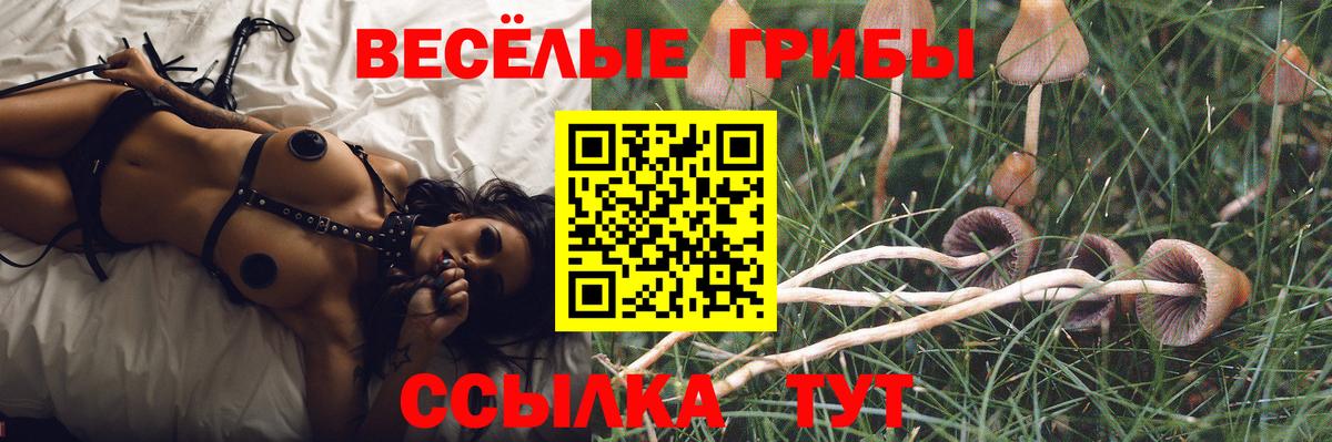 Псилоцибиновые грибы MAGIC MUSHROOMS  Псилоцибиновые грибы Psilocybe  Вход с VPN  где купить наркотик  Чапаевск 